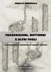 Immagine copertina libro Trascrizioni, notturni ed altri fogli