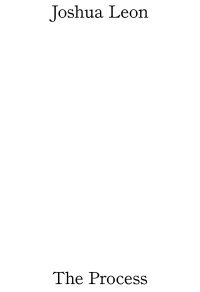 Immagine copertina libro The process