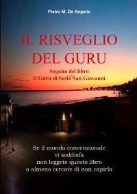 Immagine copertina libro Il risveglio del guru