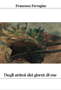 Immagine copertina libro Degli attimi, dei giorni, di me