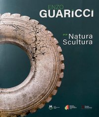 Immagine copertina libro Enzo Guaricci. Natura scultura