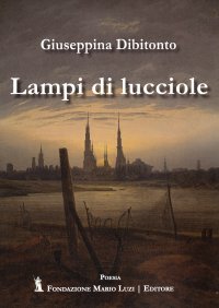 Immagine copertina libro Lampi di lucciole