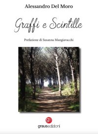 Immagine copertina libro Graffi e scintille