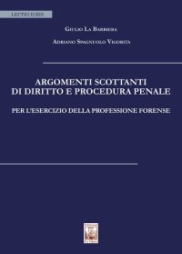 Immagine copertina libro Argomenti scottanti di diritto e procedura penale per l'esercizio della professione forense