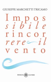 Immagine copertina libro Impossibile rincorrere il vento