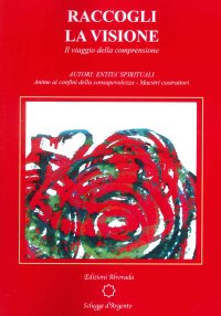 Immagine copertina libro Raccogli la visione. Il viaggio della comprensione