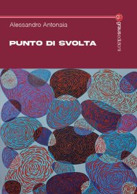 Immagine copertina libro Punto di svolta