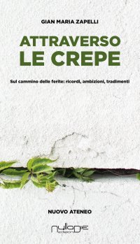 Immagine copertina libro Attraverso le crepe. Sul cammino delle ferite: ricordi, ambizioni, tradimenti