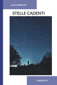 Immagine copertina libro Stelle cadenti