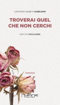 Immagine copertina libro Troverai quel che non cerchi