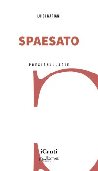Immagine copertina libro Spaesato