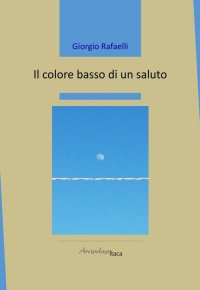 Immagine copertina libro Il colore basso di un saluto