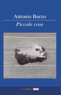 Immagine copertina libro Piccole cose