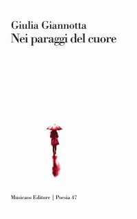 Immagine copertina libro Nei paraggi del cuore