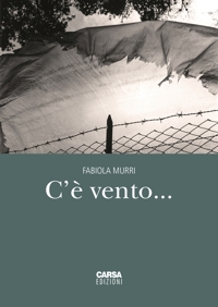 Immagine copertina libro C'è vento...
