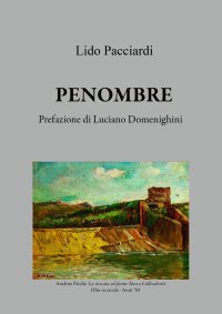 Immagine copertina libro Penombre