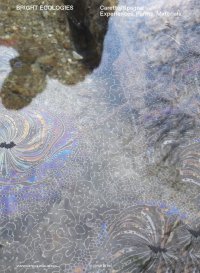 Immagine copertina libro Bright Ecologies. Caretto/Spagna: experiences, forms, materials. Ediz. italiana e inglese