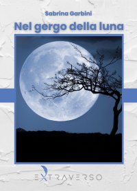 Immagine copertina libro Nel gergo della luna
