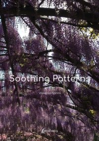 Immagine copertina libro Soothing patterns