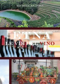 Immagine copertina libro Etna le vie del vino