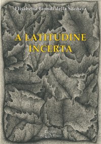 Immagine copertina libro A latitudine incerta