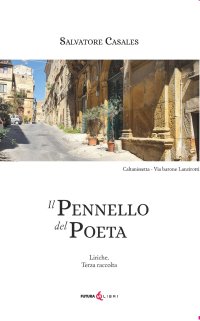 Immagine copertina libro Il pennello del poeta