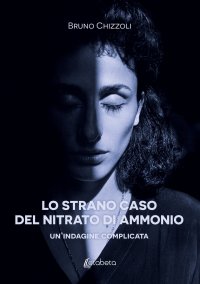 Immagine copertina libro Lo strano caso del nitrato di ammonio. Un’indagine complicata