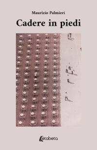Immagine copertina libro Cadere in piedi