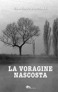 Immagine copertina libro La voragine nascosta