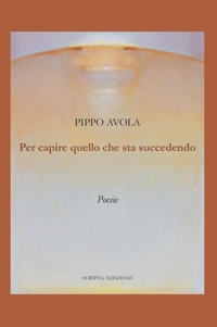 Immagine copertina libro Per capire quello che sta succedendo