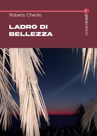 Immagine copertina libro Ladro di bellezza