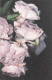 Immagine copertina libro Martin Maeller: Nervous Dust