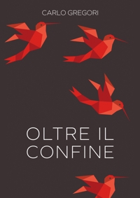Immagine copertina libro Oltre il confine