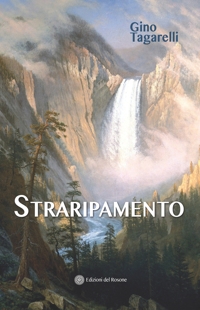 Immagine copertina libro Straripamento