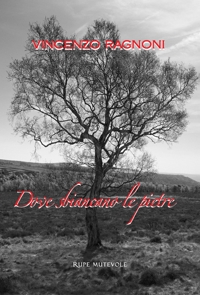 Immagine copertina libro Dove sbiancano le pietre. Nuova ediz.