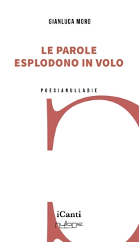 Immagine copertina libro Le parole esplodono in volo