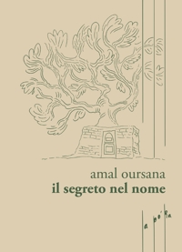 Immagine copertina libro Il segreto nel nome