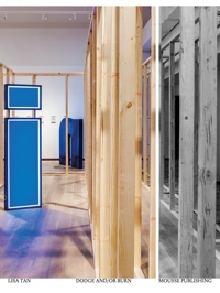 Immagine copertina libro Dodge and/or burn. Catalogo della mostra (Stoccolma, 16 settembre 2023-11 febbraio 2024). Ediz. illustrata