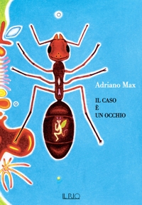 Immagine copertina libro Il caso è un occhio