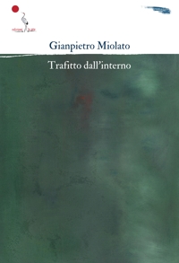 Immagine copertina libro Trafitto dall'interno. Nuova ediz.