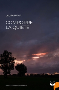 Immagine copertina libro Comporre la quiete