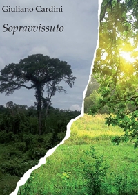 Immagine copertina libro Sopravvissuto
