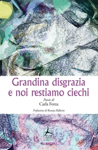 Immagine copertina libro Grandina disgrazia e noi restiamo ciechi