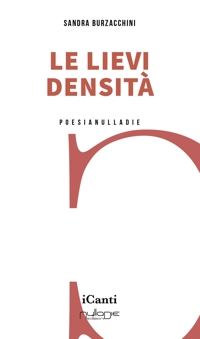 Immagine copertina libro Le lievi densità