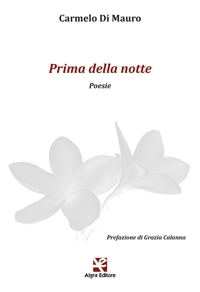 Immagine copertina libro Prima della notte