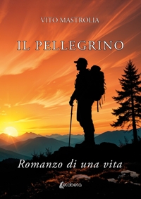Immagine copertina libro Il pellegrino. Romanzo di una vita