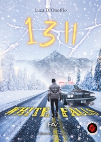 Immagine copertina libro 13 White Falls