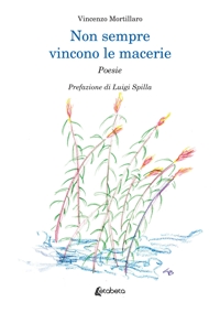 Immagine copertina libro Non sempre vincono le macerie