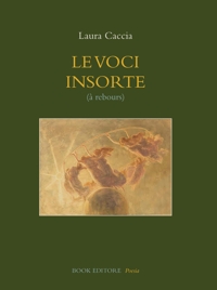Immagine copertina libro Le voci insorte (à rebours)