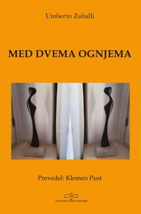 Immagine copertina libro Med dvema ognjema